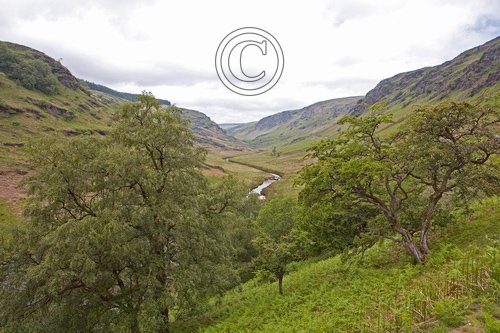 Abergwesyn Valley1 DM0383 tif